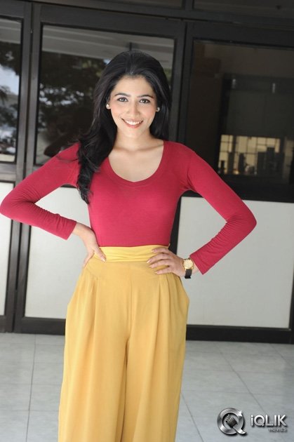 Gazal-Somaiah-at-The-End-Movie-Press-Meet
